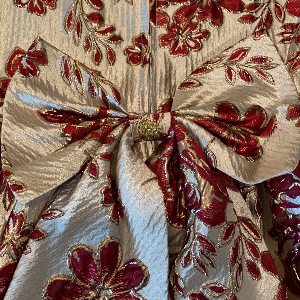 Rare Addition Formal Dress - Picture 3 of 9
